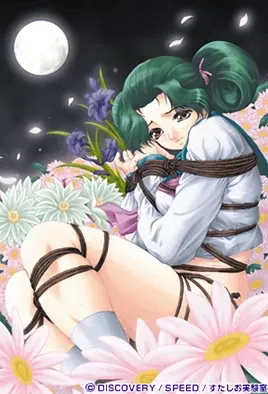 Gekka Bijin 2 / Особняк удовольствия 2